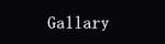 gallary